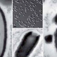 Imagen para el artículo titulado Científicos reaniman un nuevo virus de hace 30.000 años encontrado en Siberia